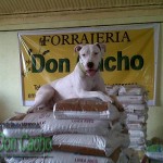 Don Cacho cumple 4 años.